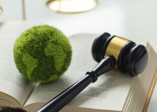 Conciliaciones en Contratación con el Estado